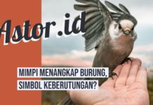 Mimpi Ngambil Ikan : Untuk anda yang pernah mengalami mimpi melihat