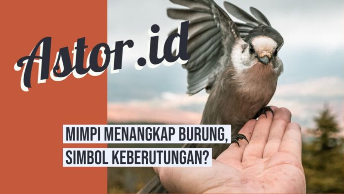 mimpi-menangkap-burung-min mimpi menangkap burung